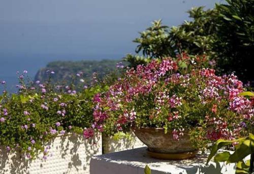Da Gelsomina Hotel Anacapri  Exterior foto